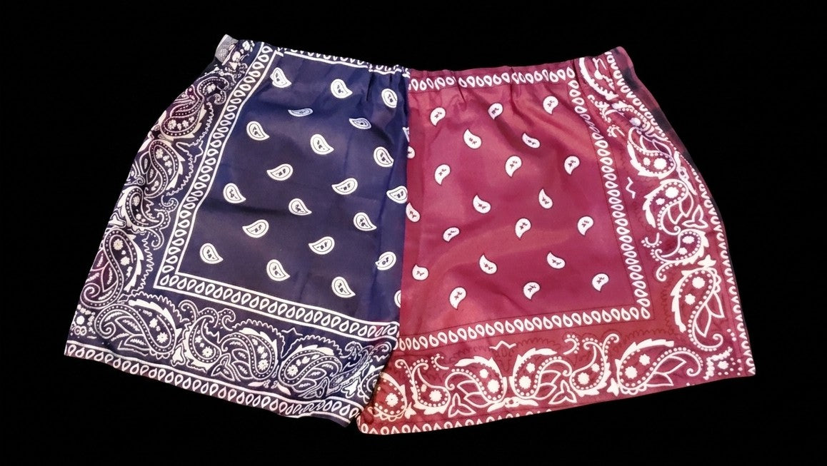Clown plaid shorts